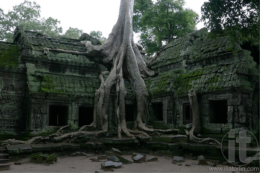 Roots Travel India Roots Travel India