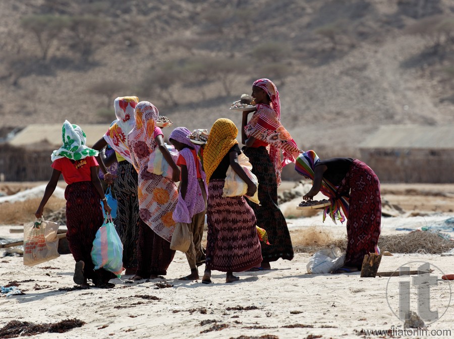 dahlak Archives Ilia Torlin Travel Photography