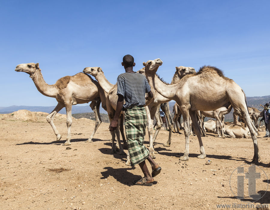 ogaden Archives - Ilia Torlin Travel Photography